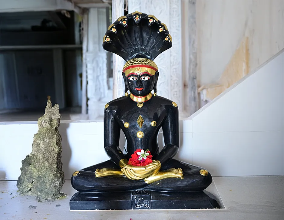 Jain Idol