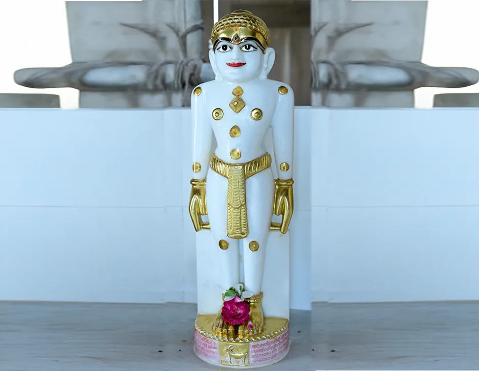 Jain Idol
