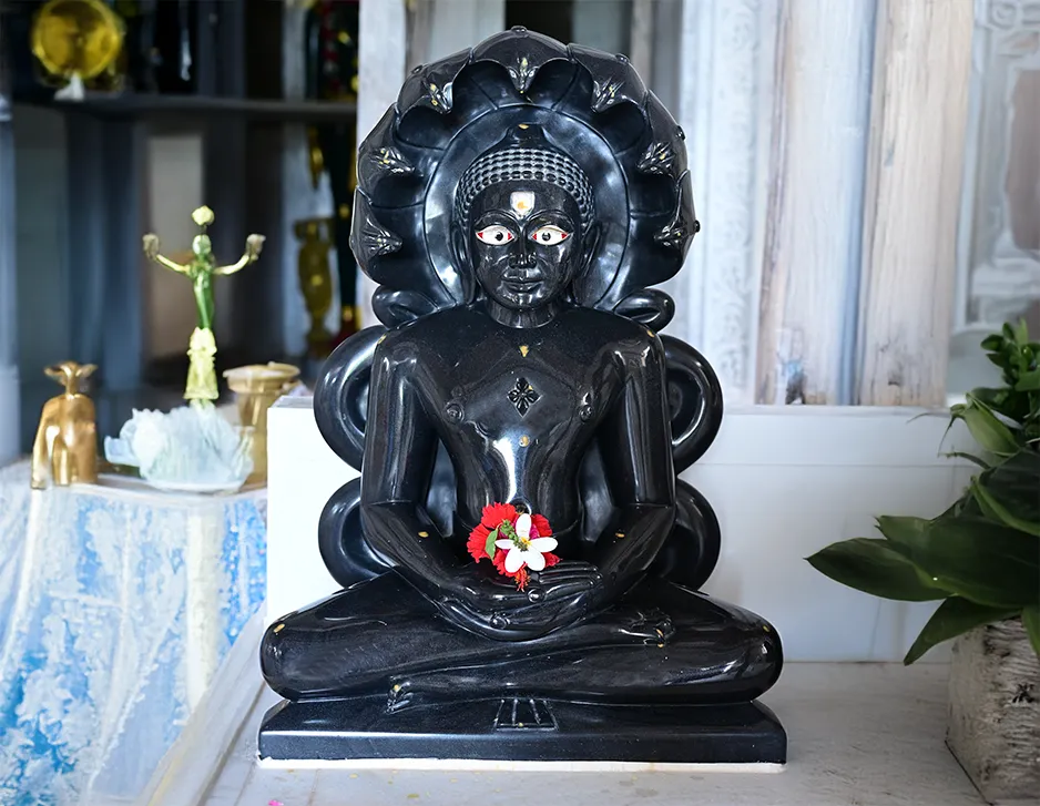 Jain Idol