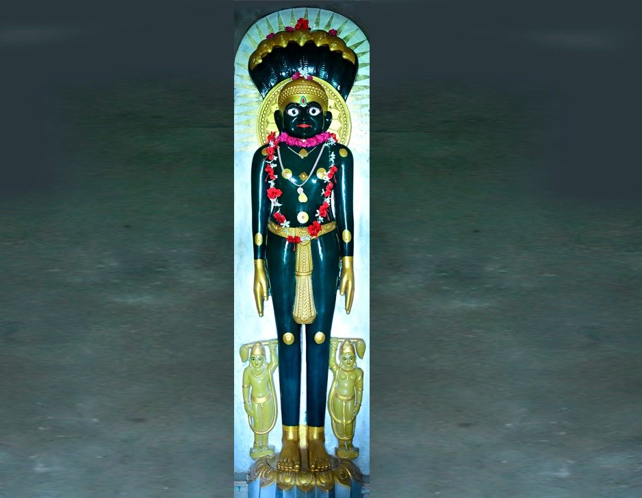 Jain Idol